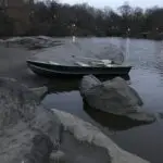 NY1