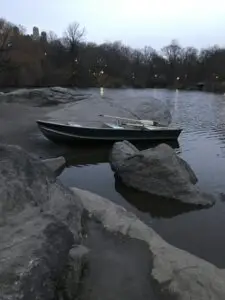 NY1