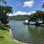 img 0652