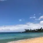 img 0701