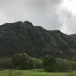 img 0710