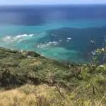 img 0801