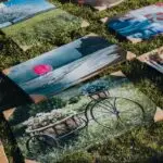 Colorful canvas prints laid out on grass, showcasing diverse artistic scenes in natural light.